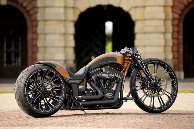 Еще один роскошный кастом Harley-Davidson от Thunderbike harley, Харли-Дэвидсон, авто, новосибирск, факты
