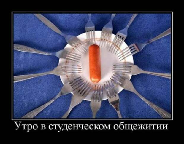 Демотиваторы-приколы для всех (14 шт)