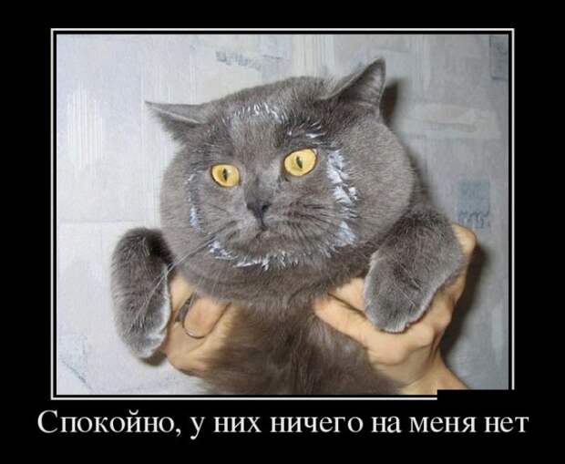 Пятничные демотиваторы свежие и веселые (11 фото) Пятничные демотиваторы свежие и веселые (11 фото)