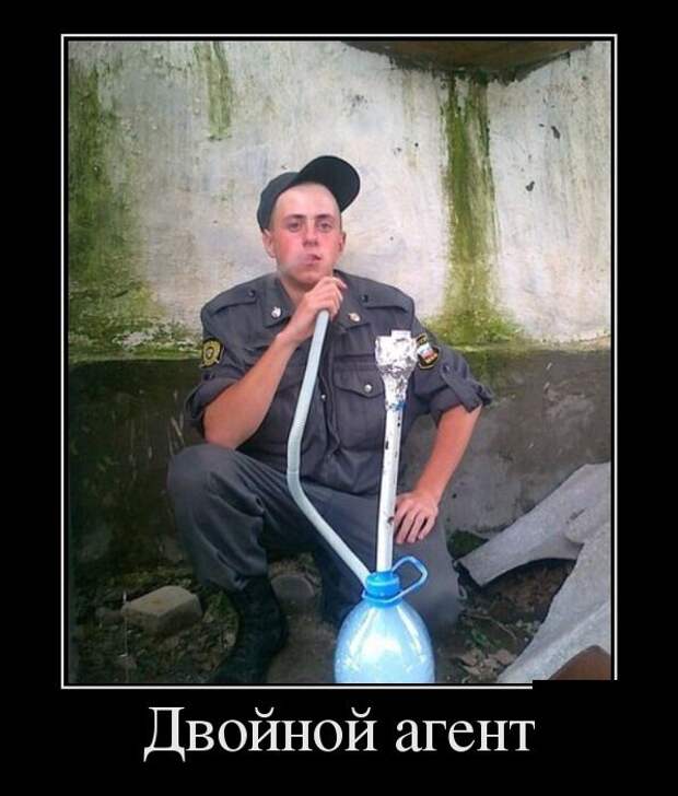 Демотиваторы (30 фото)