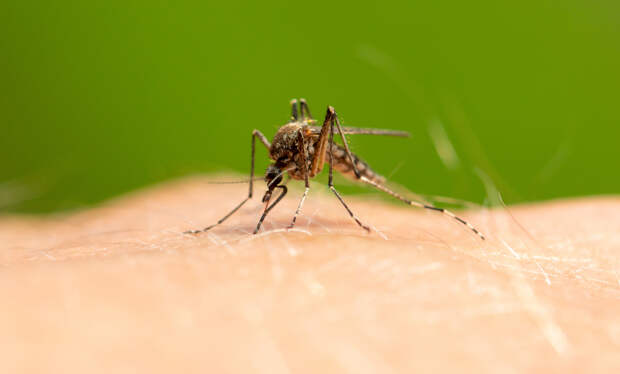 Ученые назвали первый признак экологического переворота