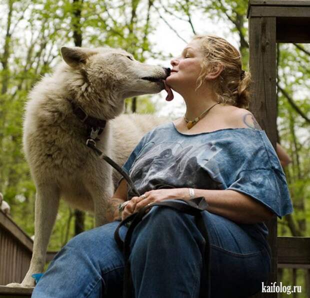 Необычные домашние животные (55 фото) Необычные домашние животные (55 фото)