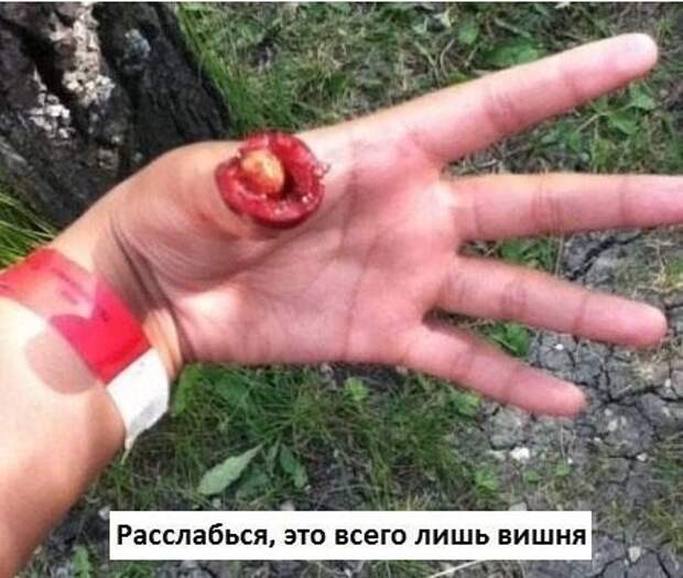 Показалось... Фото показалось, демотиваторы, прикол, юмор