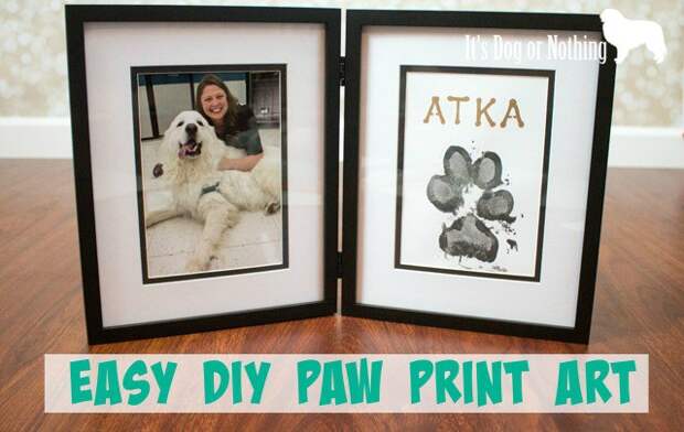 Have you ever wanted something special to remember or celebrate your pet? Check out this super easy tutorial to create your own paw print art!