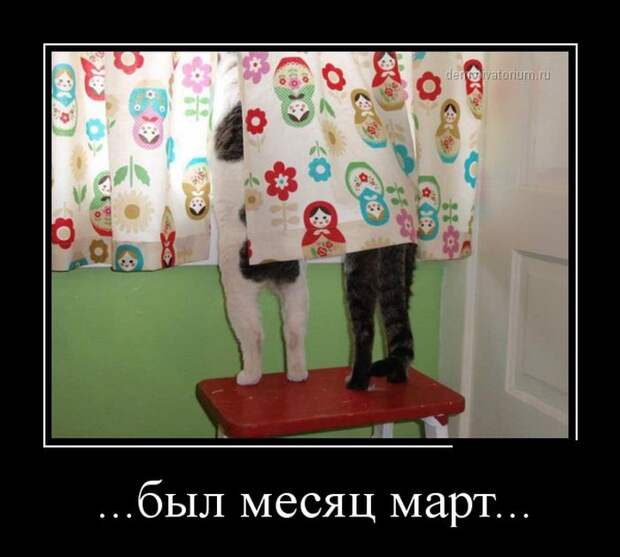 Подборка демотиваторов Подборка демотиваторов демотиваторы, юмор