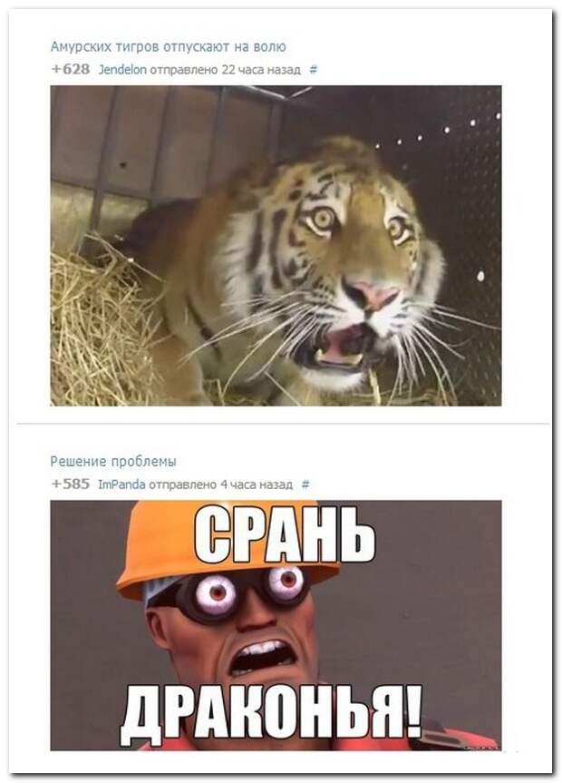 Смешные комментарии из социальных сетей 11.06.14 комментарии, прикол, соцсети