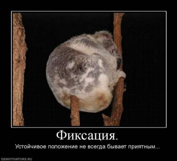 Смешные демы за неделю.