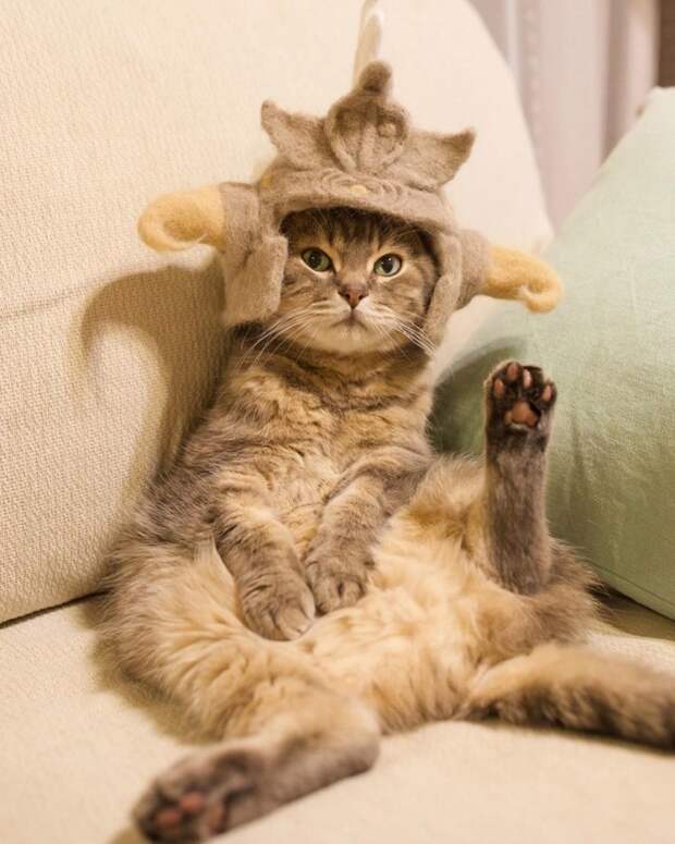 Если коты линяют... (подборка)