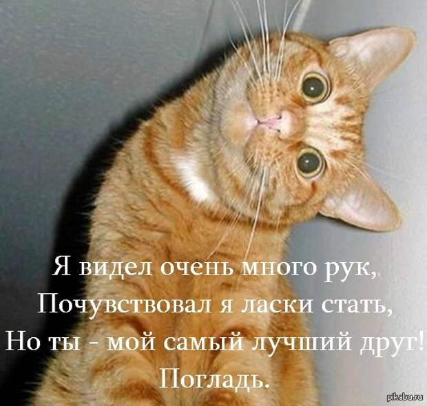Стишки - порошки