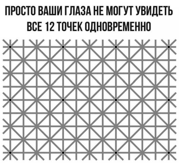 www.vsyako.net