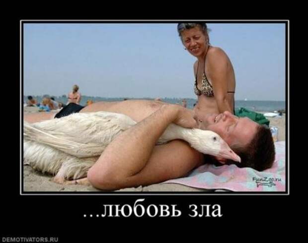 Смешные демы за неделю.