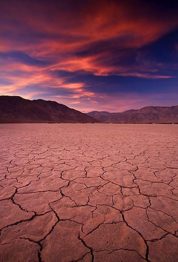 UtahDesert01 Цветущая пустыня Анза Боррего