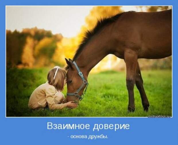 Мотиваторы, живем красиво, размеренно!