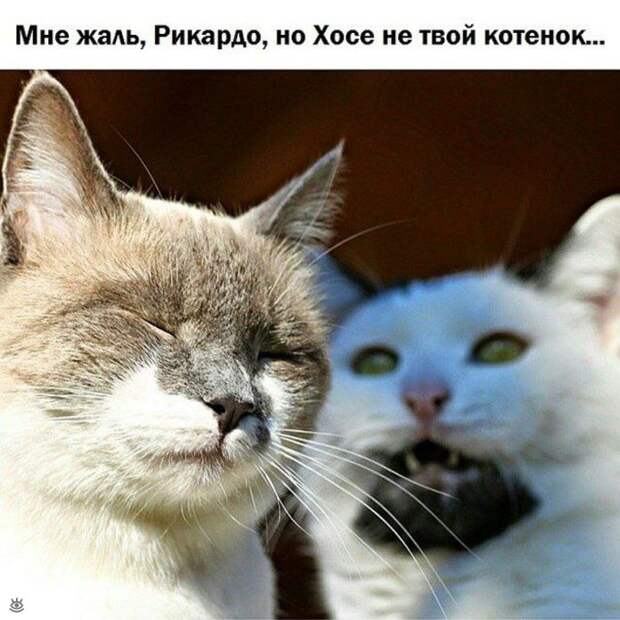 Забавности, замеченные в повседневности 25
