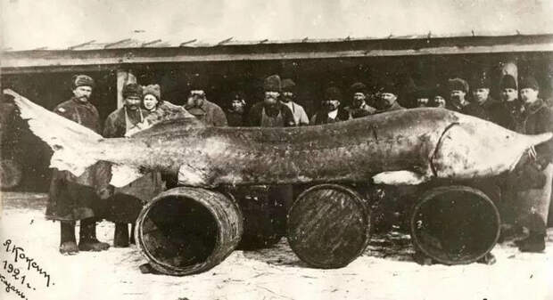 ВОТ ЭТО УЛОВ!