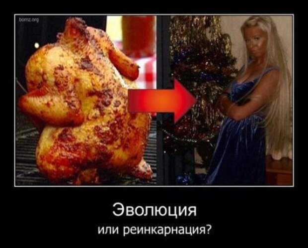 Ржачные демотиваторы, прикольные картинки.