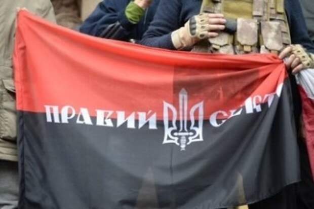 Тысячи националистов «Правого сектора» устроили митинг в Киеве Тысячи националистов «Правого сектора» устроили митинг в Киеве