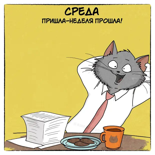Типичная трудовая неделя в работах Bird Born Типичная трудовая неделя в работах Bird Born Bird Born, Рабочая неделя, кот