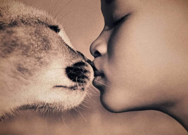 Животные и человек глазами одного фотографа Животные и человек глазами одного фотографа животные, искусство, факты, фотографии