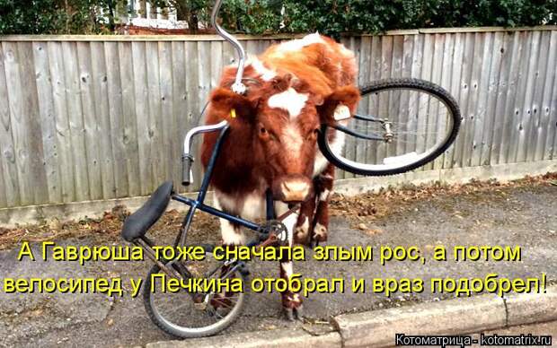 Котоматрица: А Гаврюша тоже сначала злым рос, а потом велосипед у Печкина отобрал и враз подобрел!