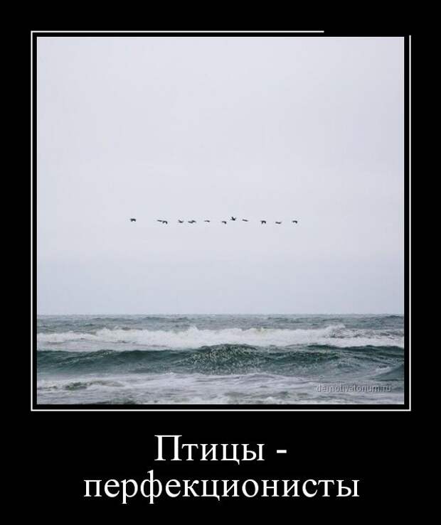 Демотиваторы №1085 (30 фото) Демотиваторы №1085 (30 фото)