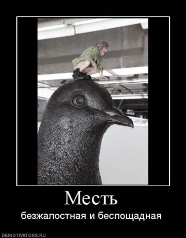 Картинки с ржачными подписями.