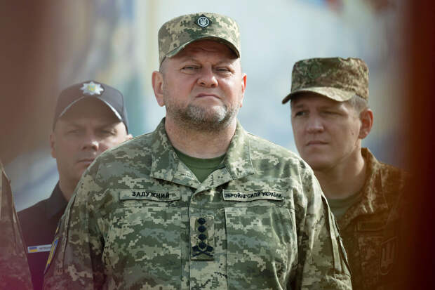 Экс-сенатор Ковитиди: слова Залужного о границах стало политическим прорывом