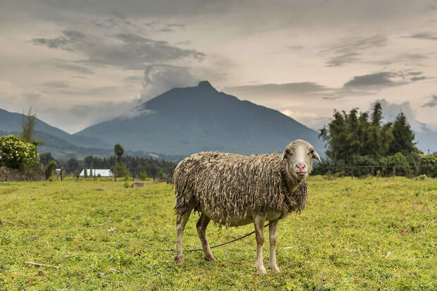 0_ae60a_78e67ee4_XXL