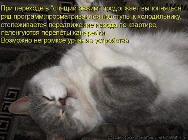 Мысли вслух :)