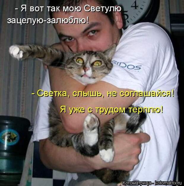 Лучшие котоматрицы недели