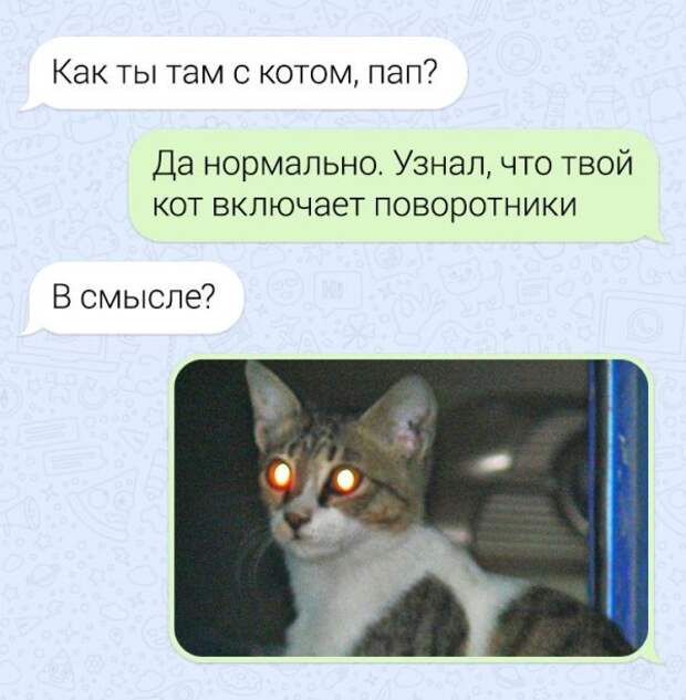 www.vsyako.net