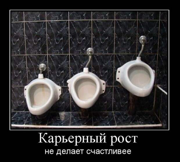 Демотиваторы (42 фото)