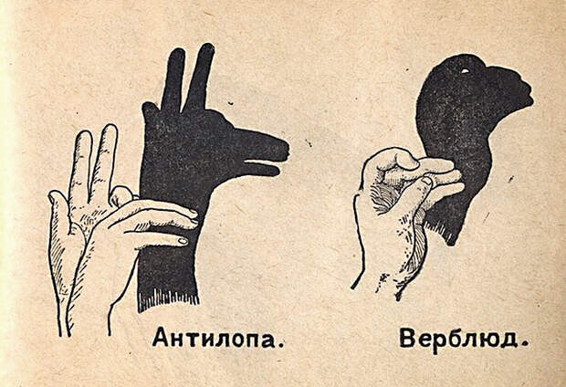 Театр теней: антилопа и верблюд