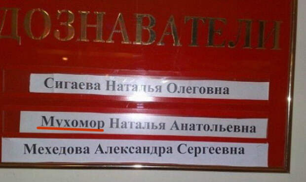 когда фамилия и профессия созданы друг для друга (15)