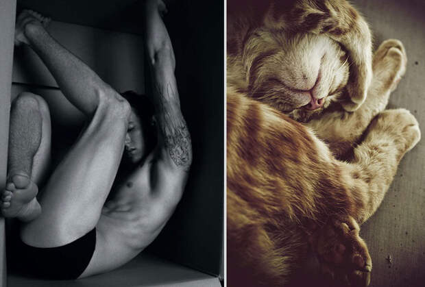 Котики и парни mencats19 Котики и парни