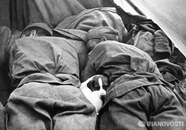 Редкие фотографии Великой Отечественной войны Редкие фотографии Великой Отечественной войны война, ссср, фото. великая отечественная война
