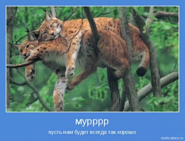 Позитивчик мотиваторы.