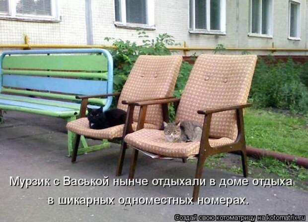 Лучшие котоматрицы недели