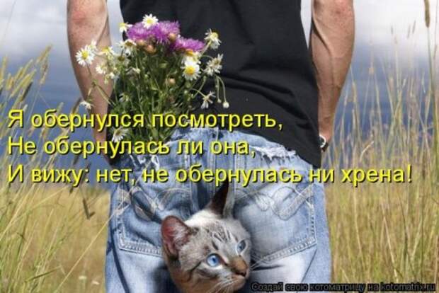 Котоматрица 26