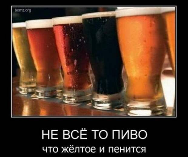 Новейшие демотиваторы, генератор хорошего настроения!