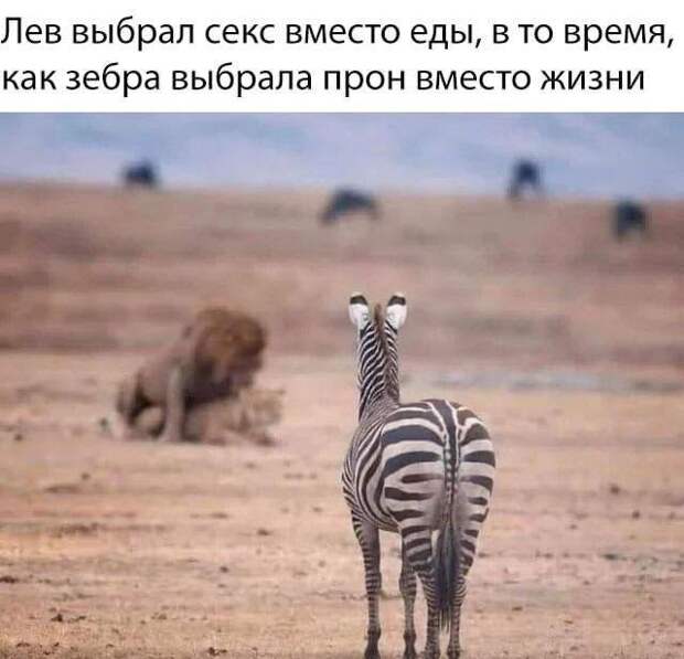 Мемы и приколы про 
