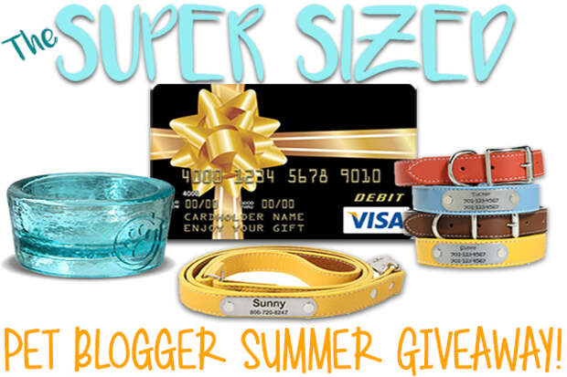 Super Sized Pet Blogger Summer Giveaway