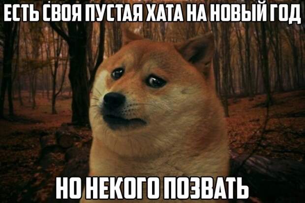Приколы из соц сетей (25 фото)