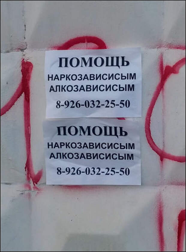 Картинки, юмор, приколы