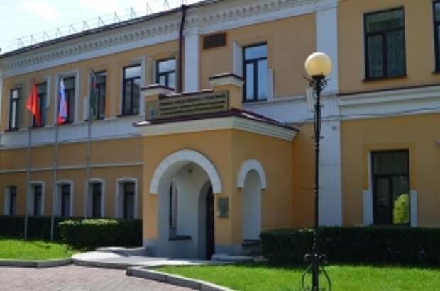 Председатель Следственного комитета запросил доклад по уголовному делу о нападении безнадзорных собак на жительницу Красноярского края