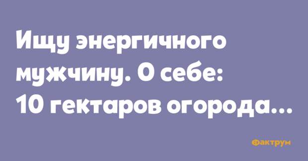 Ищу энергичного мужчину. О себе: 10 гектаров огорода.... Анекдот о поиске энергичного мужчины