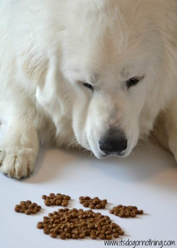 Can I eat it now?