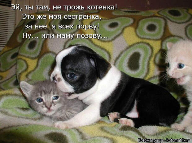 19 (700x524, 357Kb)