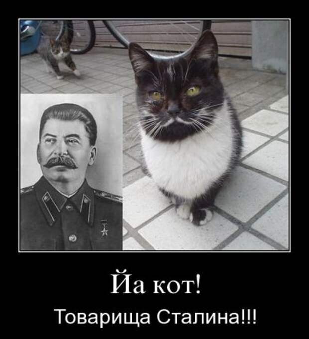 Демотиваторы свежие.
