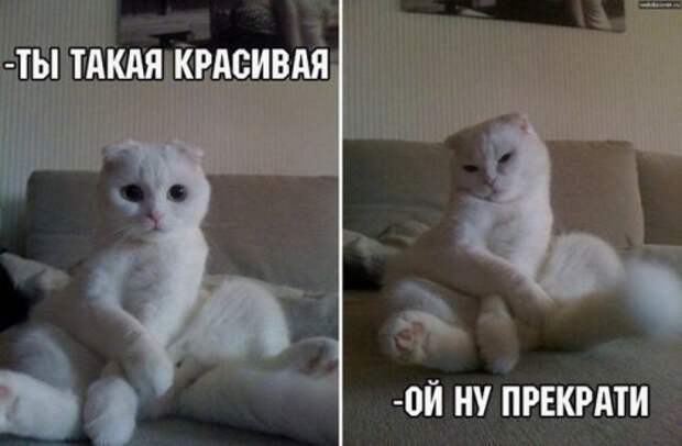 Прикольные картинки в ассортименте (38 шт)